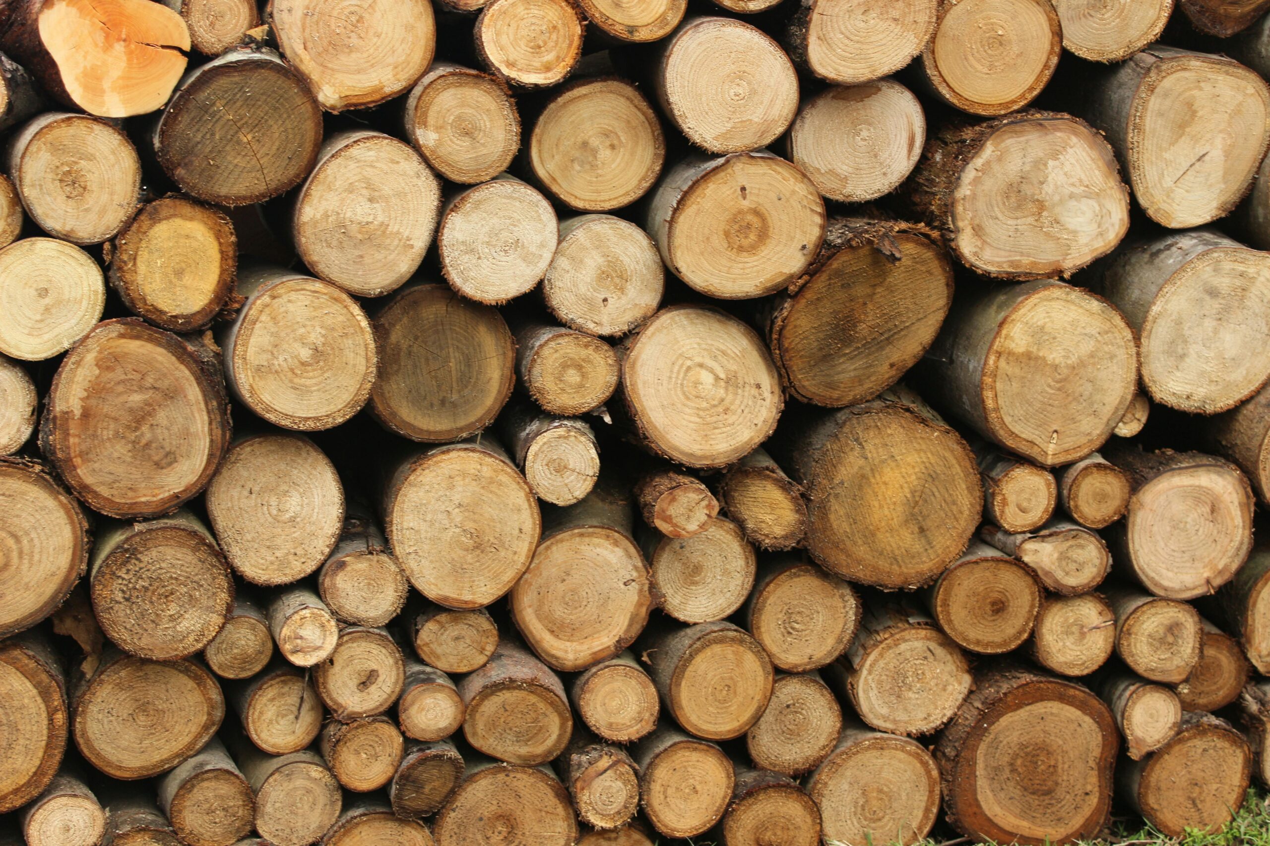 Close-up view of stacked wooden logs, showcasing natural texture outdoors.