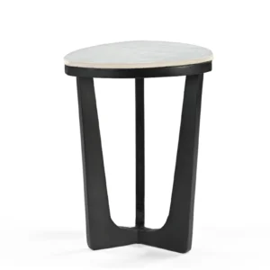 Mango Wood & Marble End Table in Black Finish